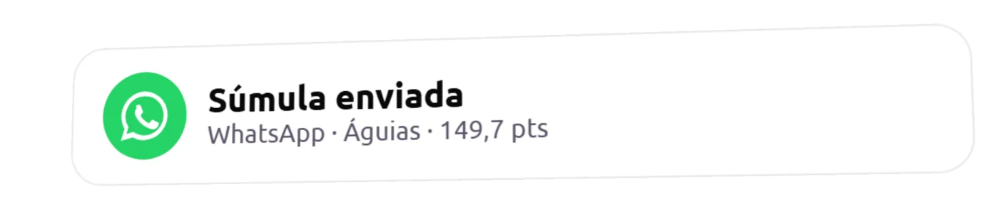 Notificação: súmula enviada pelo WhatsApp